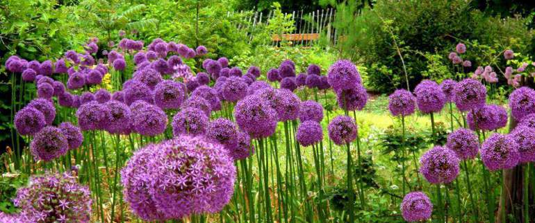 Feng Shui Flow, Birkholzweg in Frankfurt am Main