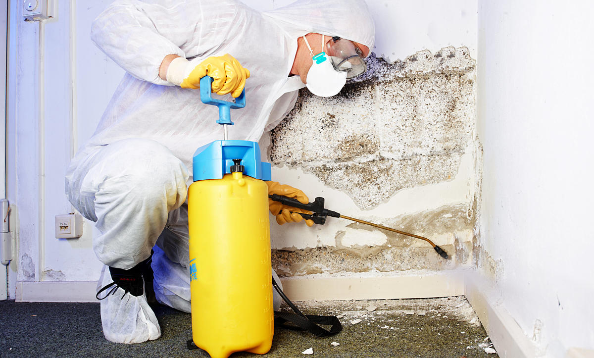 Kammerjäger Kraft, Westfalendamm in Dortmund