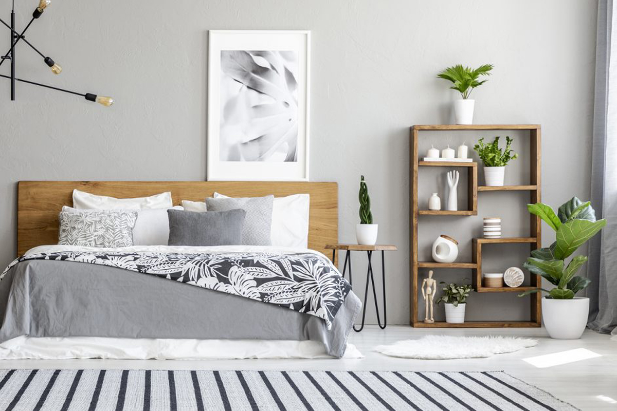 PuroVivo, Bauhausstraße in Weimar