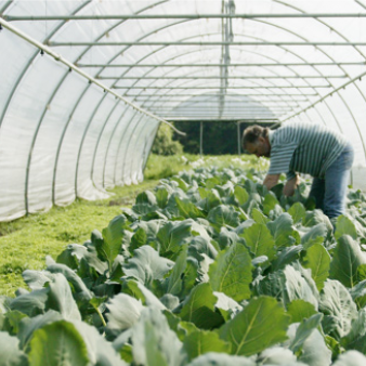 Mühlhof Zentrum für Suchttherapie und Rehabilitation, Goldacherstrasse in Tübach