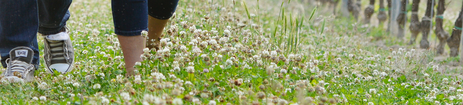 Weingut Leitner Gernot, Quellengasse in Gols