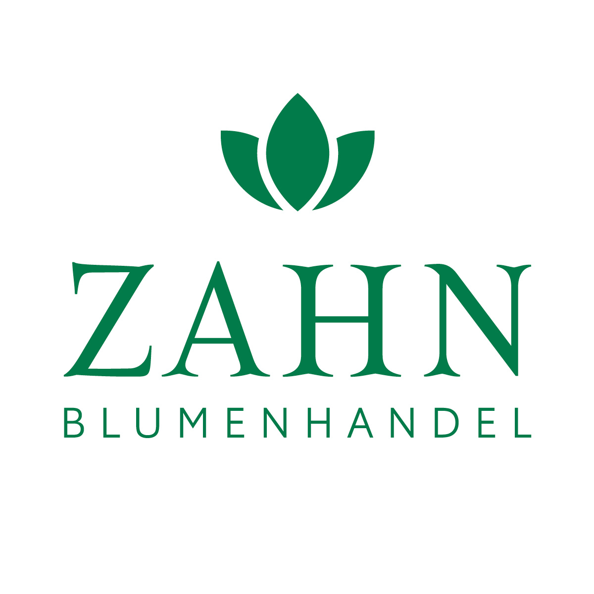 Blumenhandel ZAHN, Sophienstraße in Brandenburg an der Havel