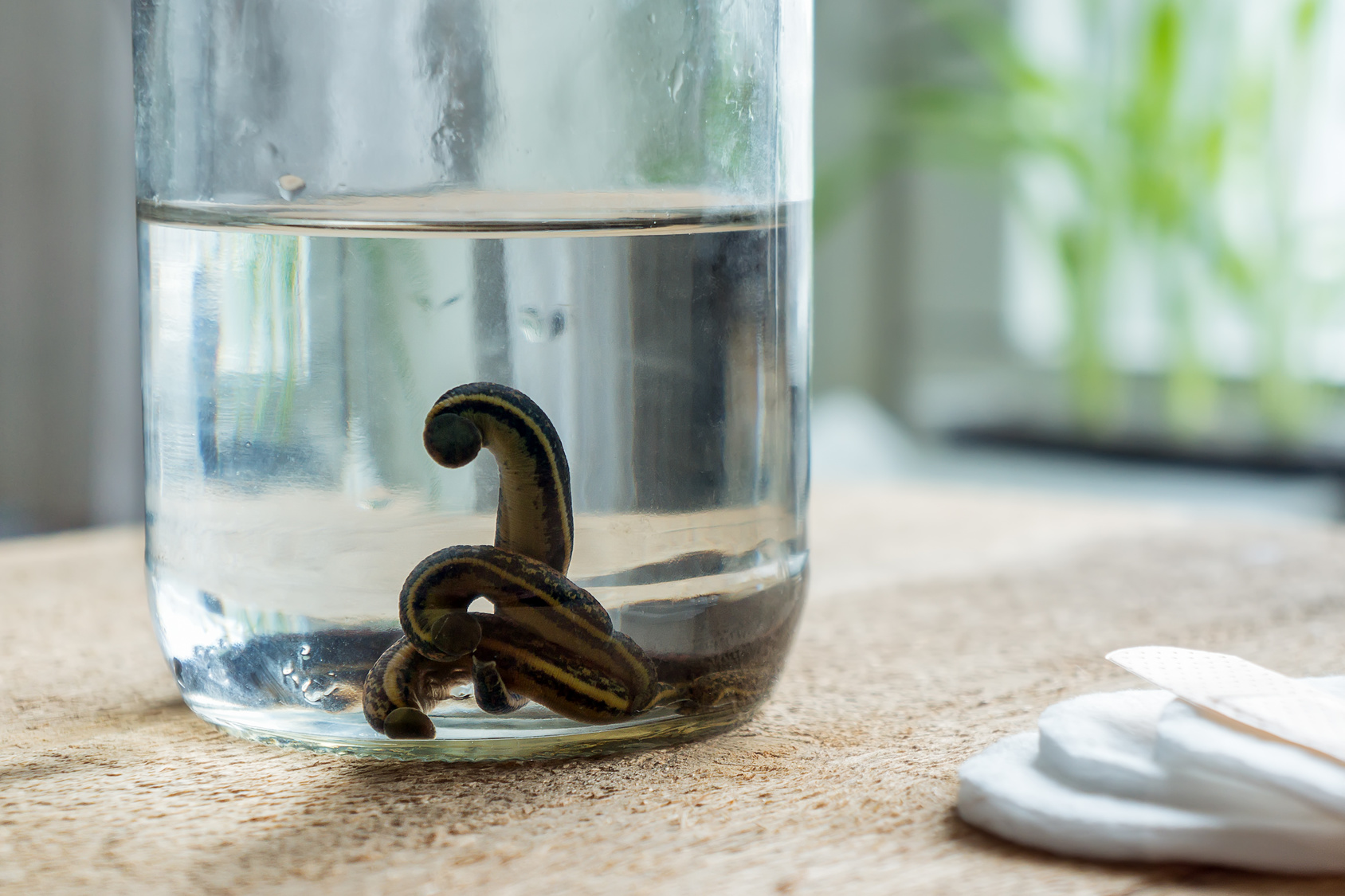 Naturheilzentrum Oberland GmbH, Rosenstrasse in Interlaken