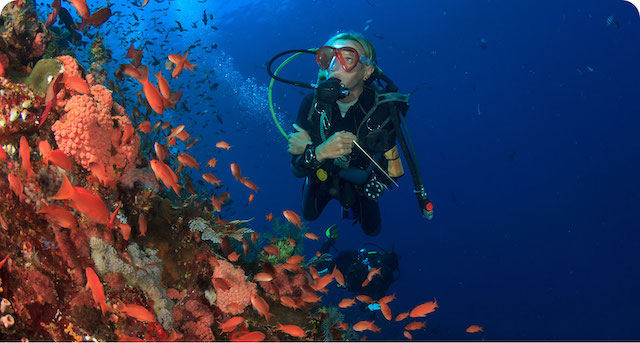 Specialdive Tauchschule, Haydnstrasse in Leopoldsdorf