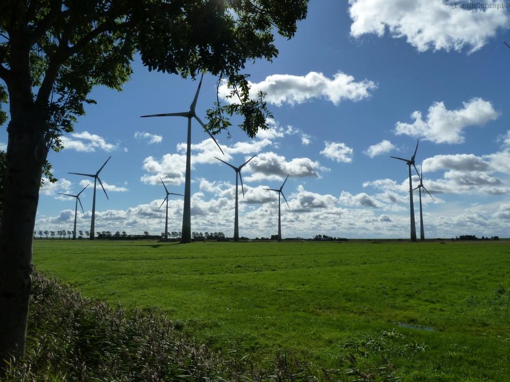 EcofinConcept GmbH Erneuerbare Energien, Rheinstraße in Hückelhoven