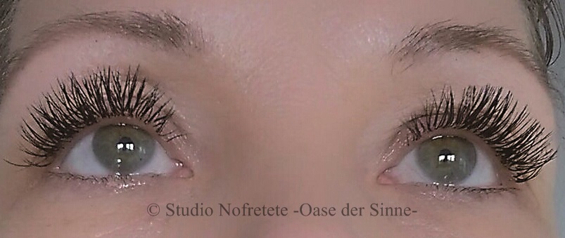 Nofretete - Oase der Sinne, Zwingerstraße in Halle (Saale)