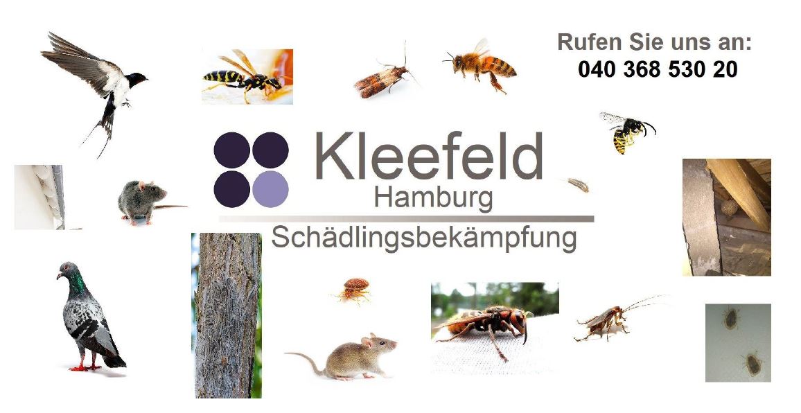 Kleefeld Landkreis Harburg Schädlingsbekämpfung, Im Twieten in Stelle