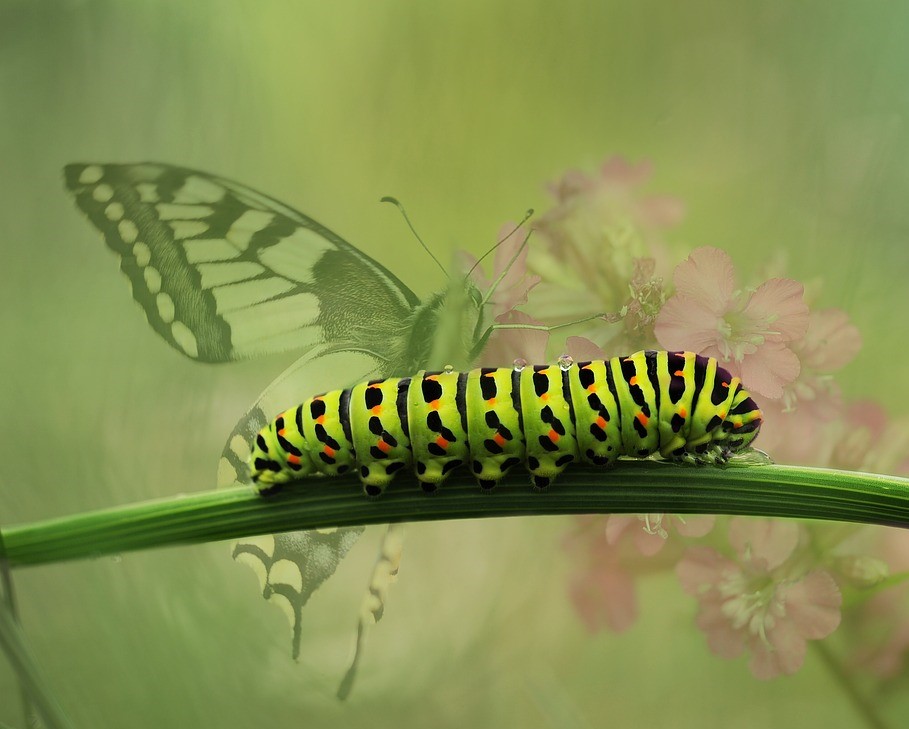 Folge dem Herzen - Elke Peters, Verdener Straße in Rodenberg