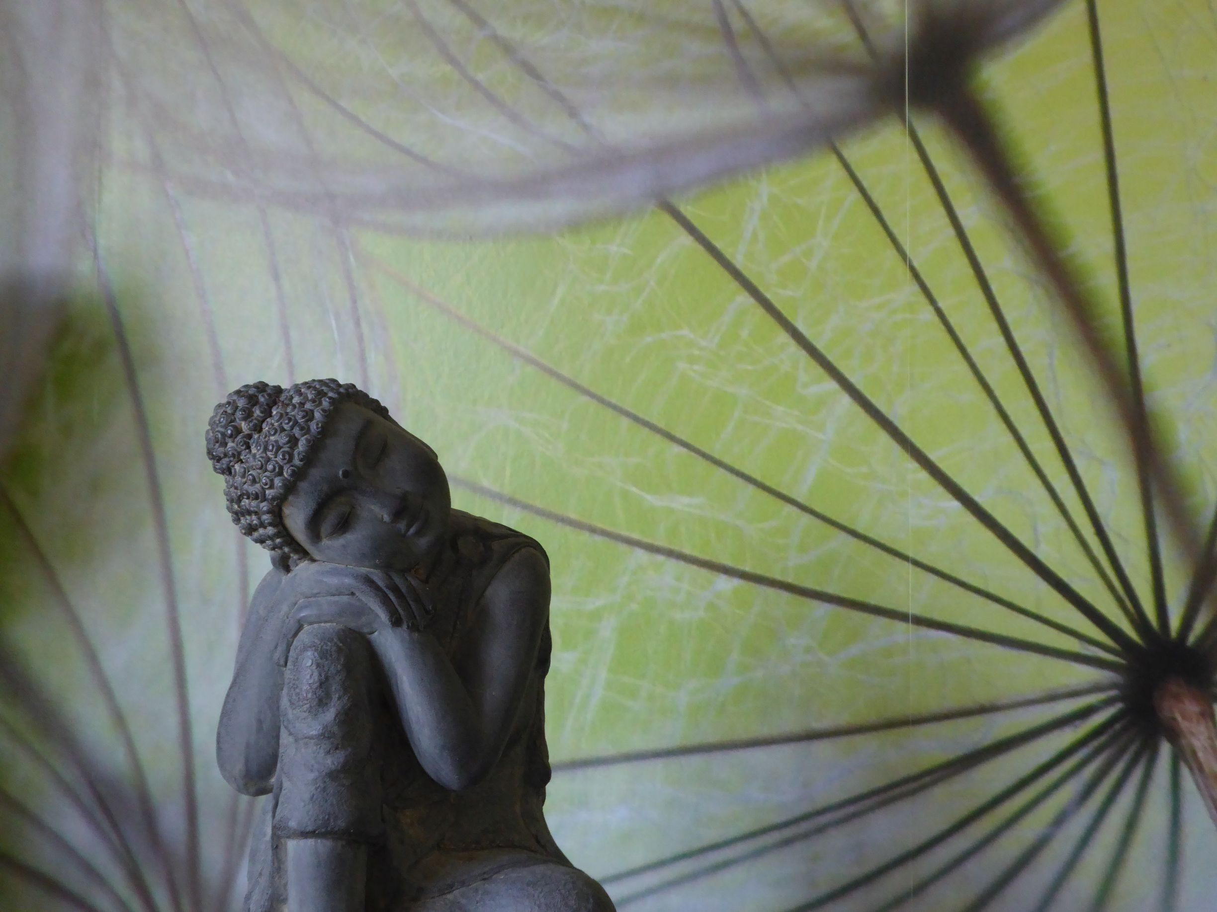 Heilpraxis Dr. Olaf Schweisthal - Psychologe & Life Coach, In der Steinkaul in Wellen