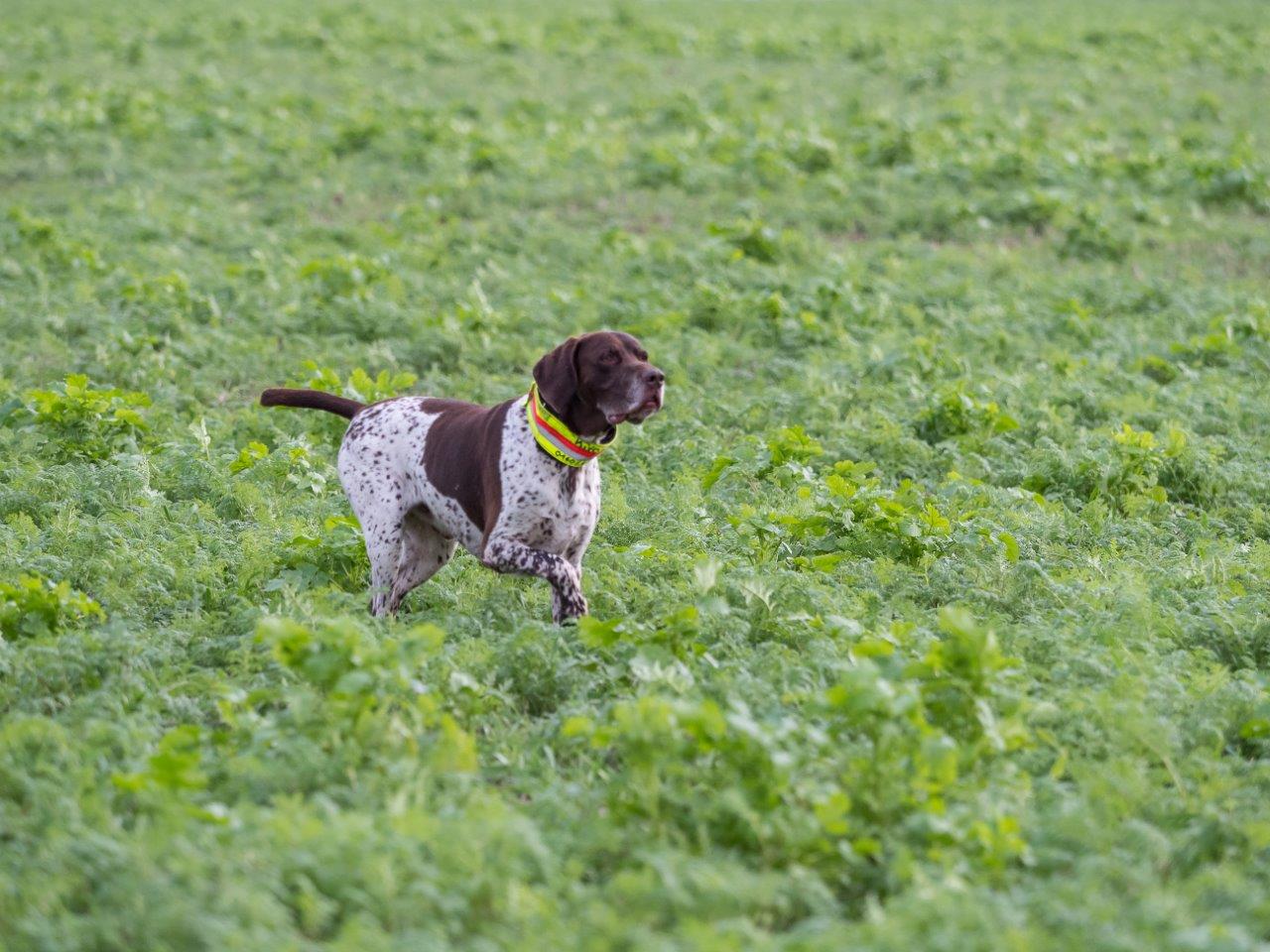 DK-Universe, Wagbachstraße in Waghäusel