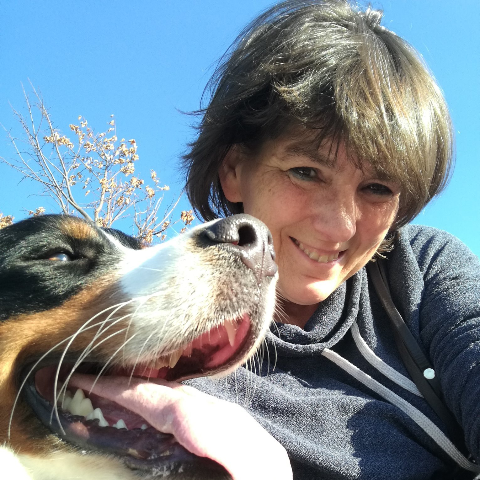 Carola Baum, Wolfsburger Straße in Königslutter am Elm