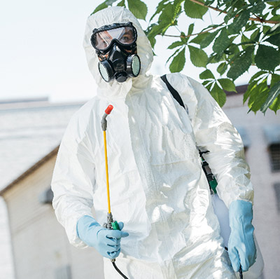 kammerjäger sterillion, Erna-Scheffler-Straße in Köln