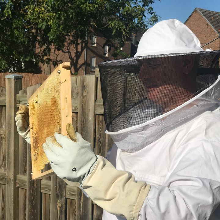 Imkerei Uhrich, Römerweg in Würselen