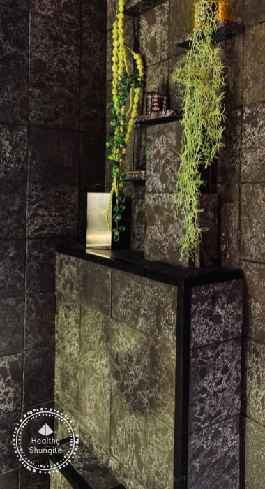 Institut Healthy Shungite, 80, chemin de la in La Conversion