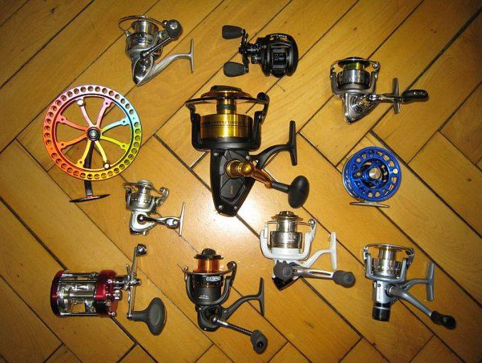 Andy's Fischershop, Molkenstrasse in Zürich