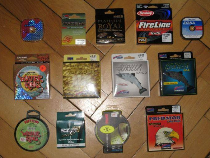 Andy's Fischershop, Molkenstrasse in Zürich