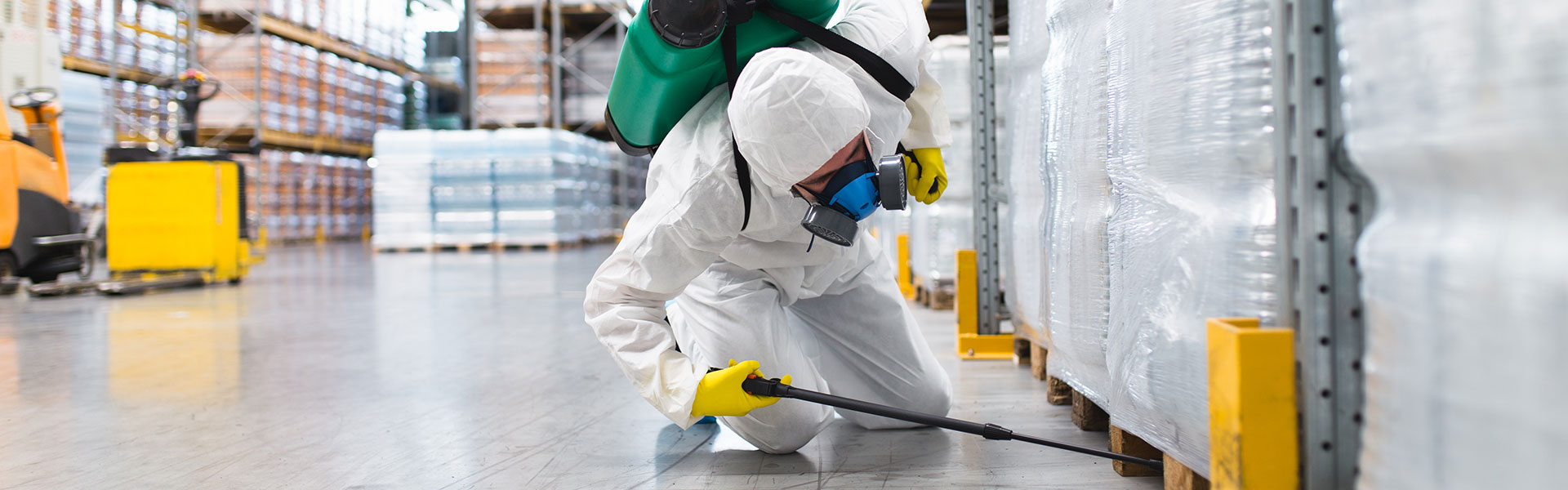 Kammerjäger Ernst, Kaiserstraße in Bonn