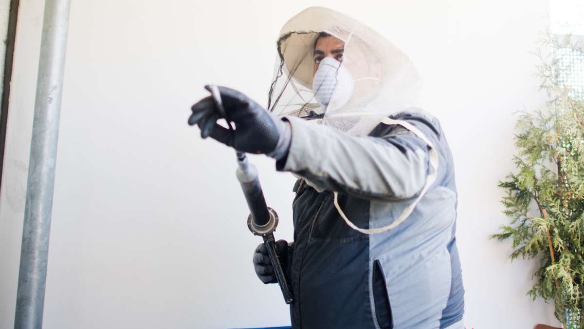 Kammerjäger Ernst, Kaiserstraße in Bonn