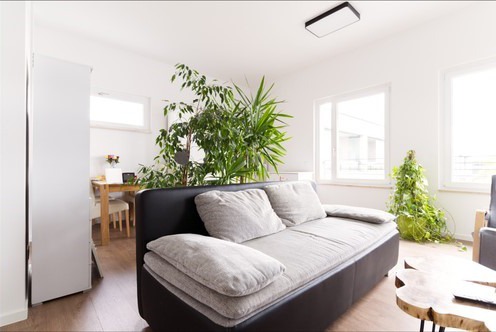 Entrümpelung Fix, Rothehausstraße in Köln