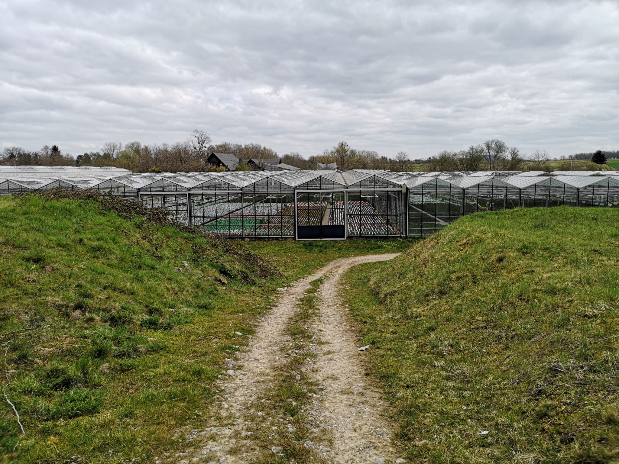 der Blumen PETER GbR, Kreuzstraße in Saarlouis