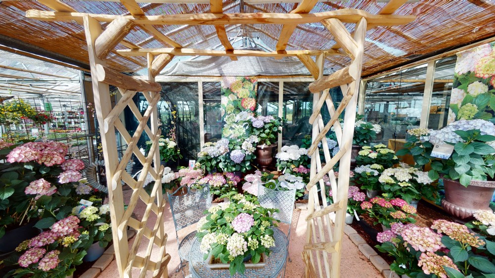 Garten Center Säriswil, Staatsstrasse in Säriswil