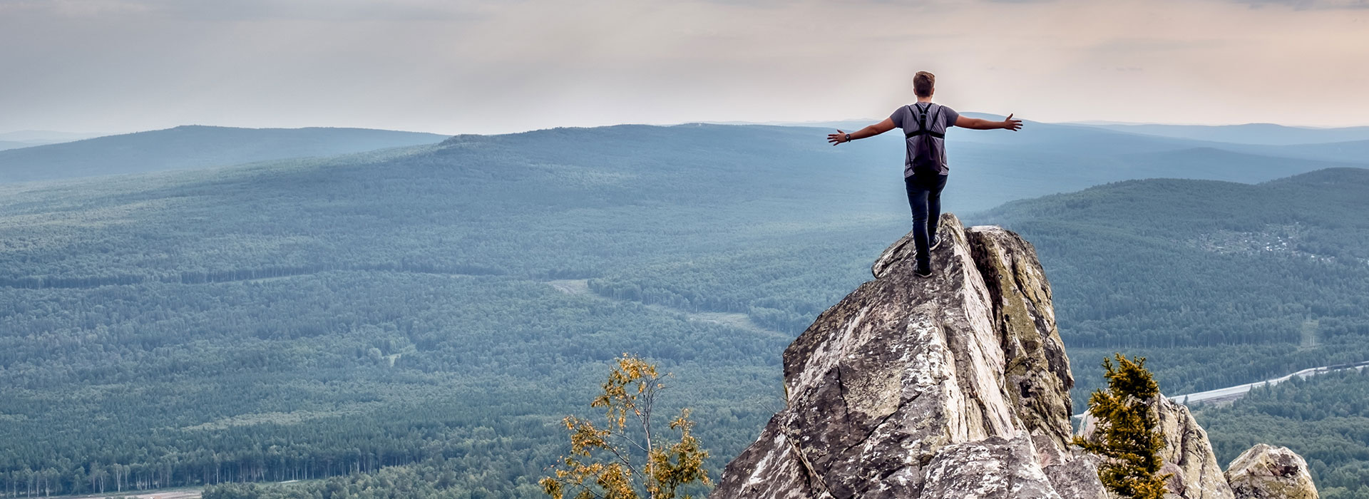 Project Excellence, Kiefernschlag in Eckental