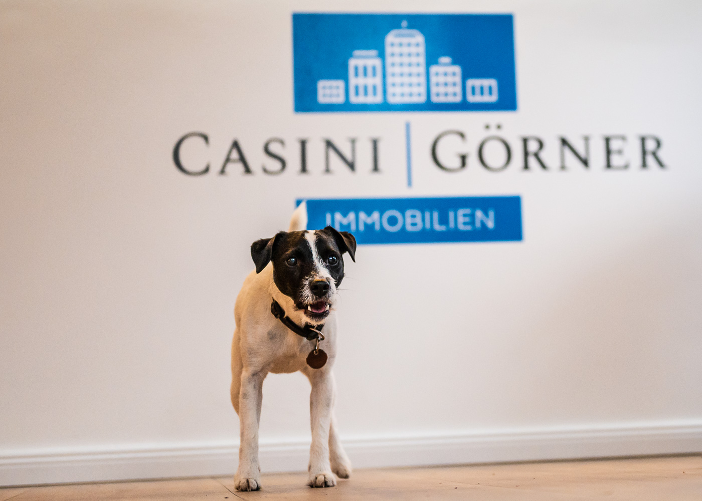 Casini & Görner Immobilien GmbH & Co. KG, Liebermannstraße in Hamburg