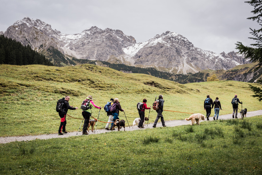 S&H Hundewelt Wandertouren GmbH, Bödmerstrasse in Mittelberg