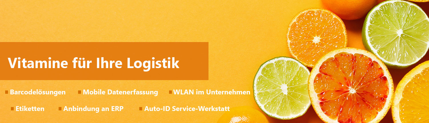 Integer Solutions GmbH, Industriestraße in Wölfersheim