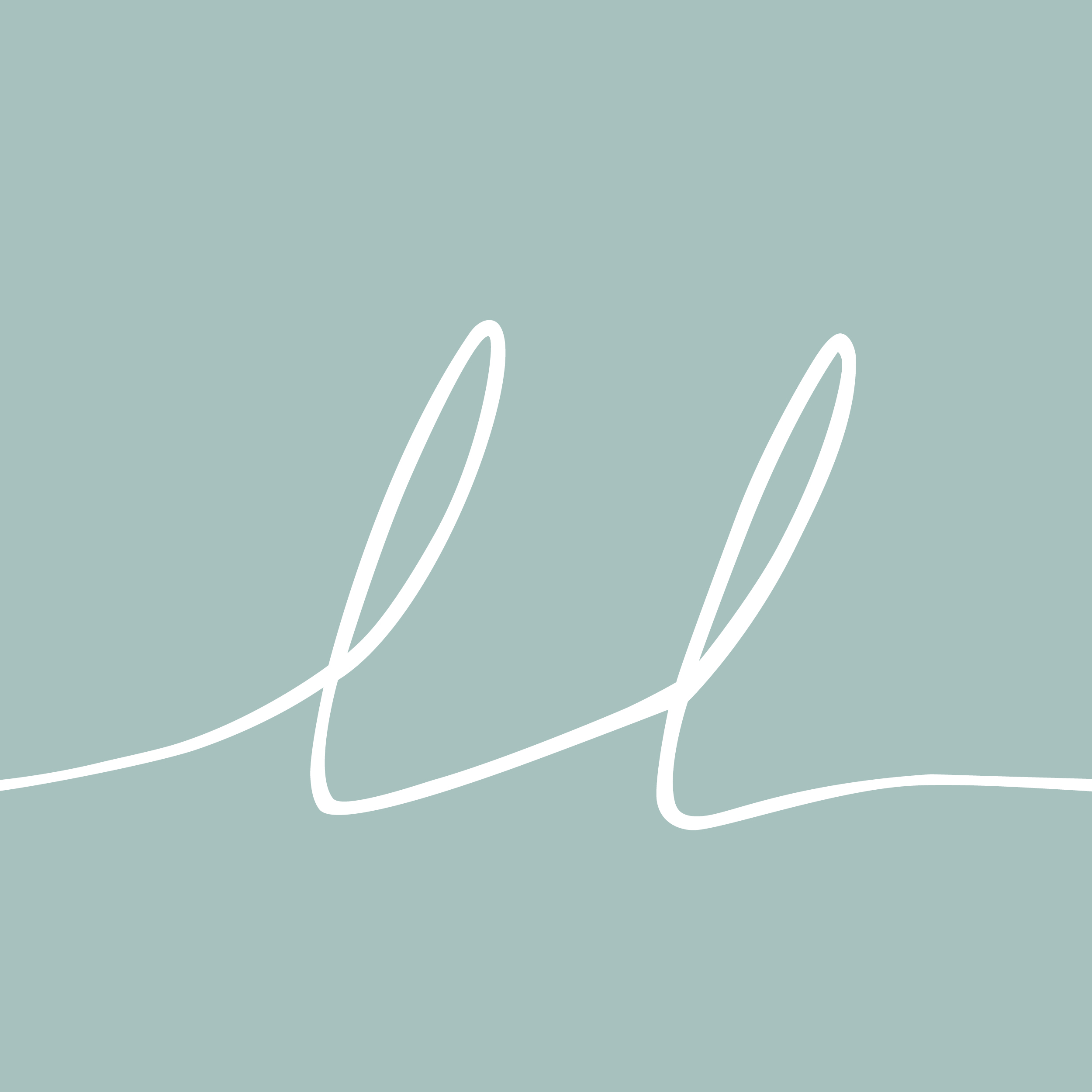 lebenslicht Bestattungen, Schirmerstr. in Düsseldorf