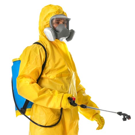 Schädlingsbekämpfung Schnell, Kölner Str in Essen