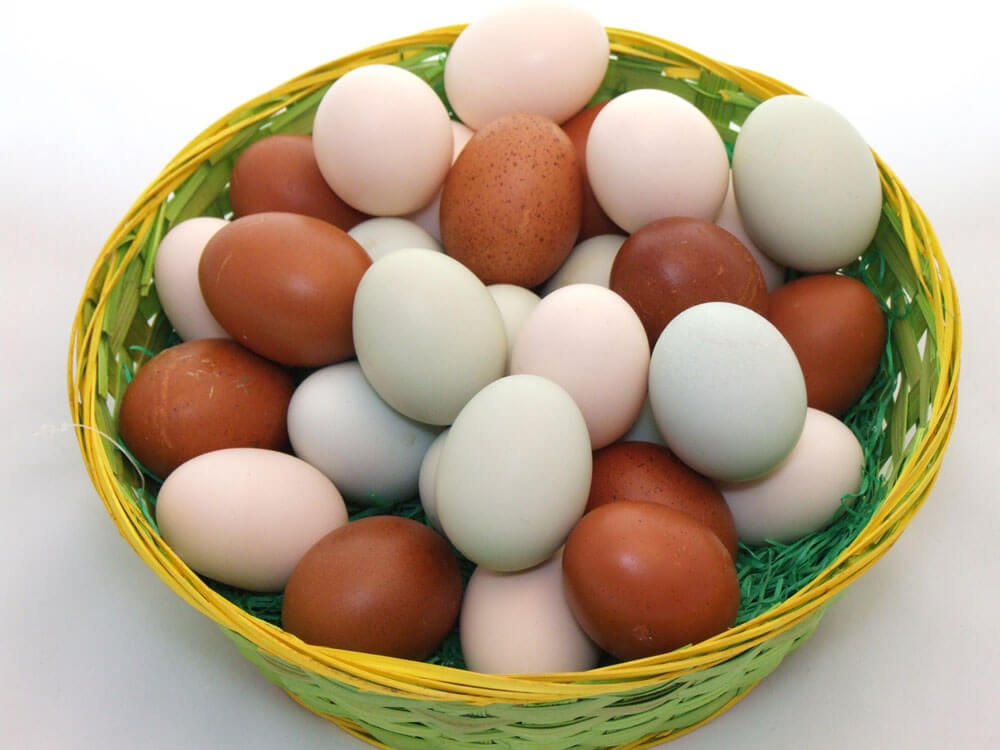 Geflügelhof Arnsdorf, Eduard-Bilz-Weg in Penig