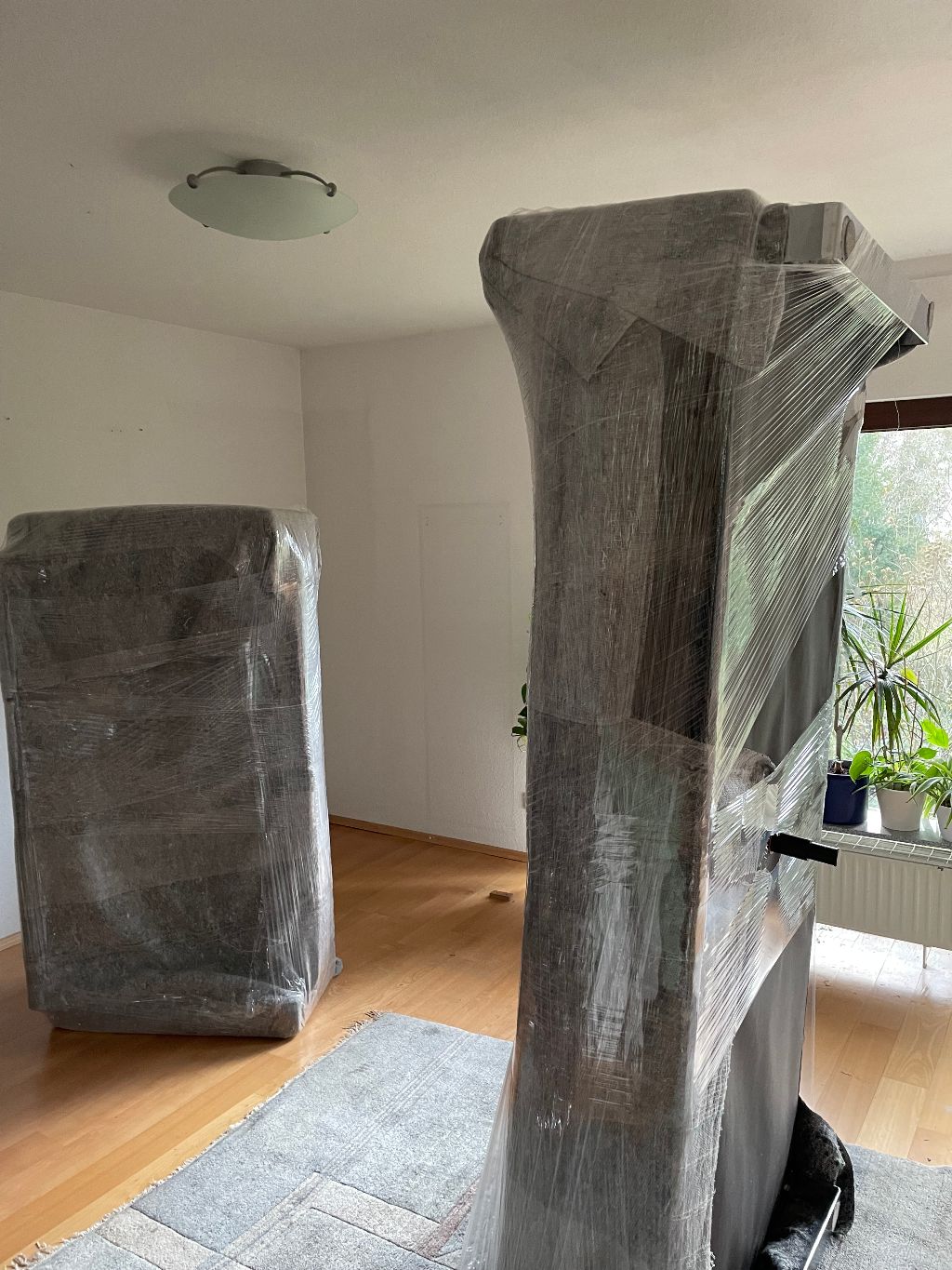 Stier Umzüge | Ihr Umzugs­­unternehmen aus Berlin, Emmentaler Straße in Berlin