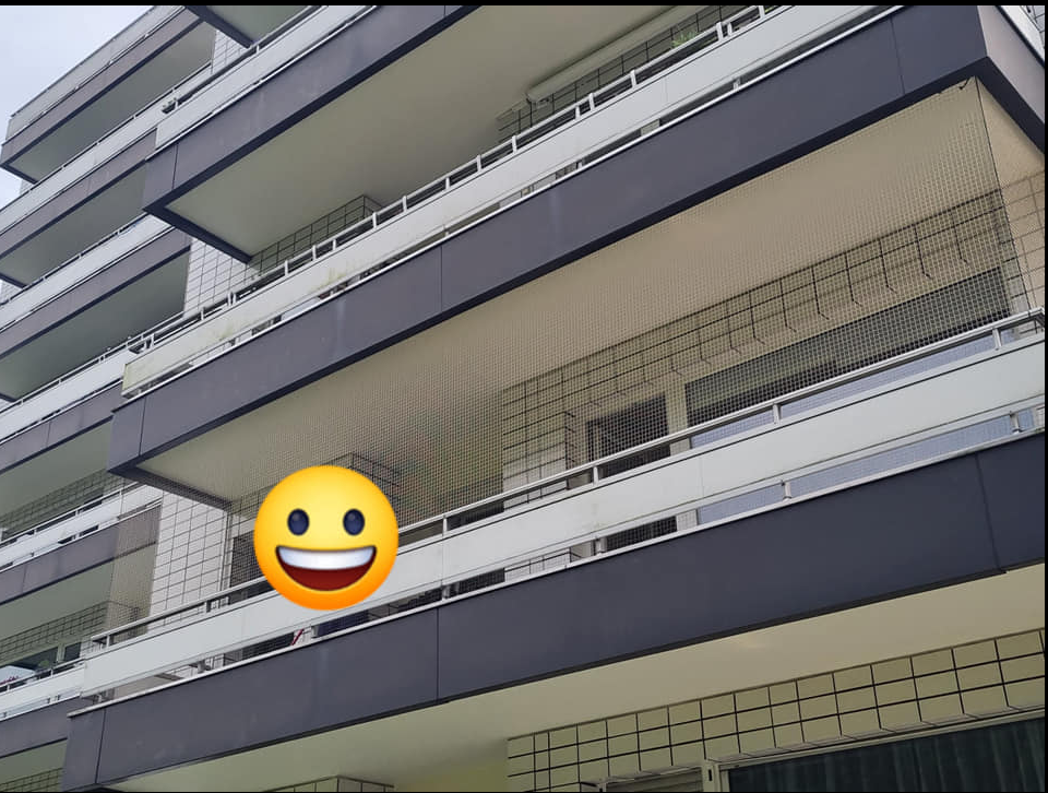 Katzennetz Montage Maikel's, Mühlenbroich in Düsseldorf