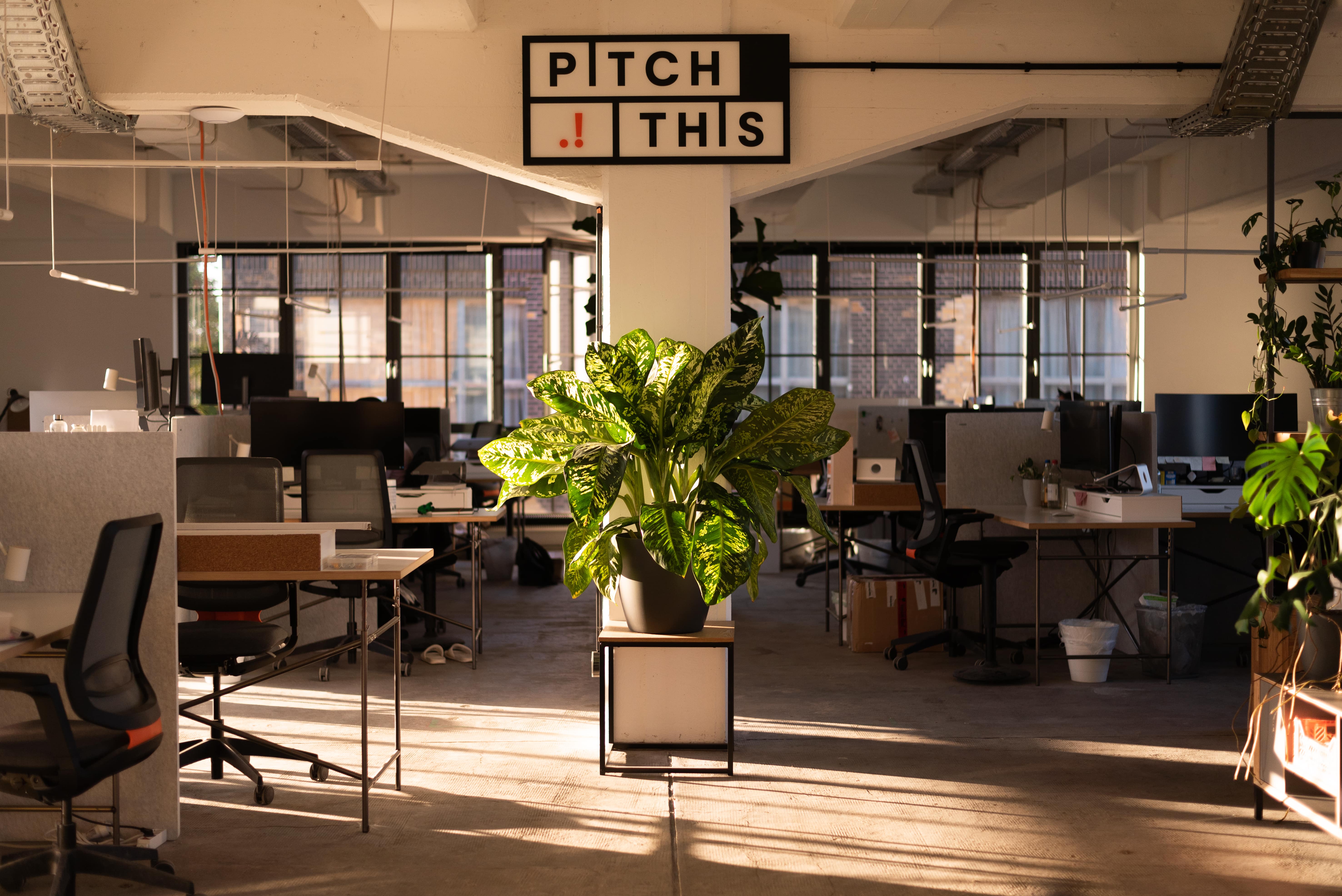 Pitch This GmbH, Am Börnchen in Leipzig
