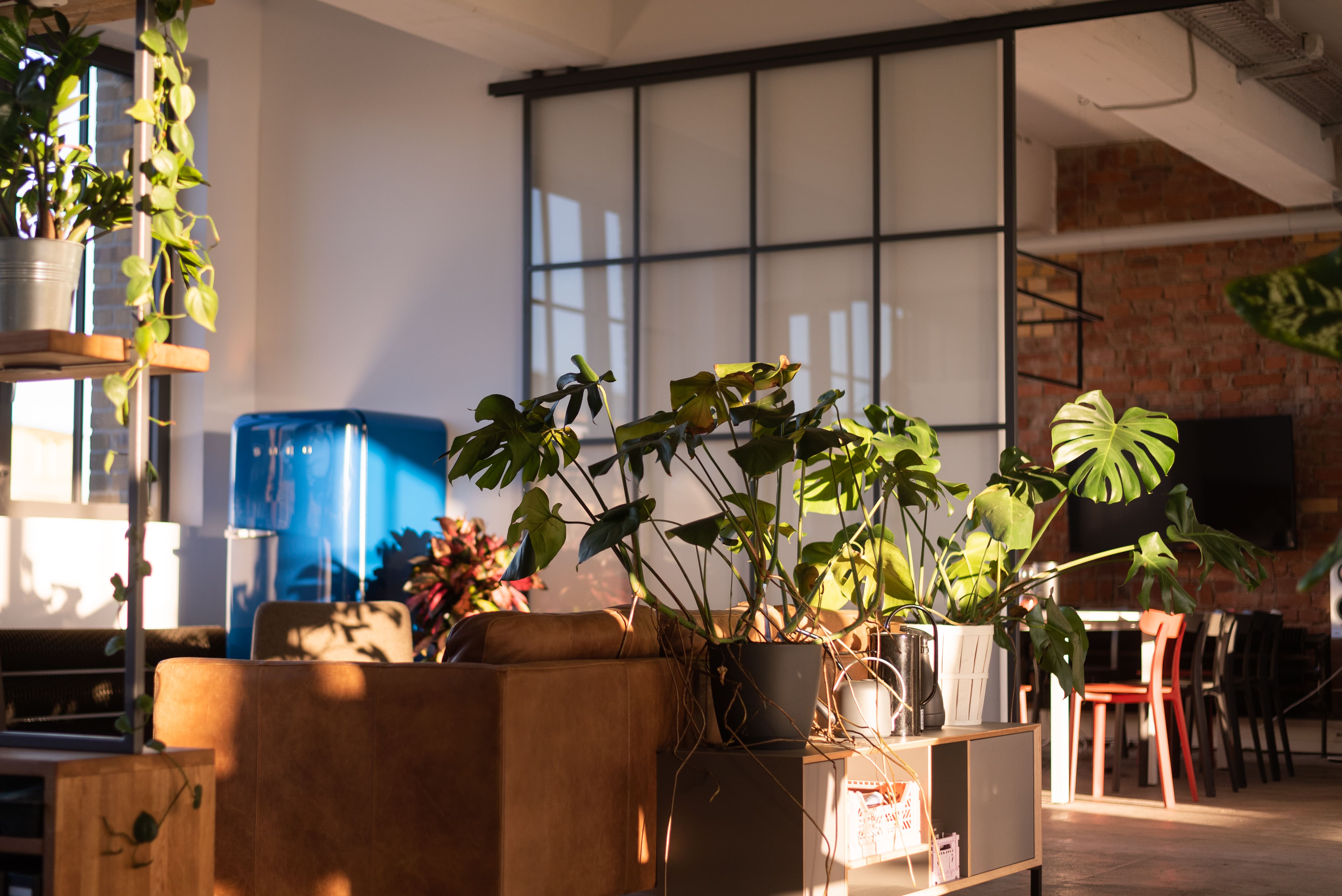 Pitch This GmbH, Am Börnchen in Leipzig