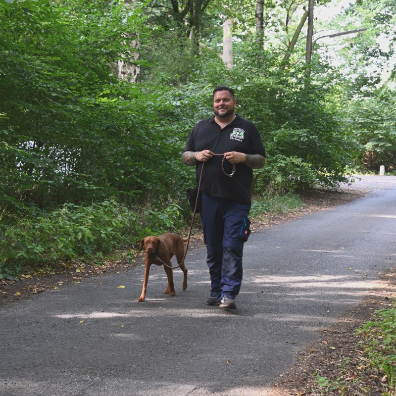 Niendogs - Hundeschule der Nordens Hamburg Niendorf, Schwedenkamp in Hamburg