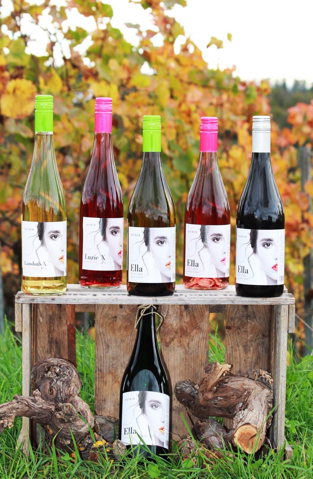 Weingut Hafner, Kirchstraße in Zeutern