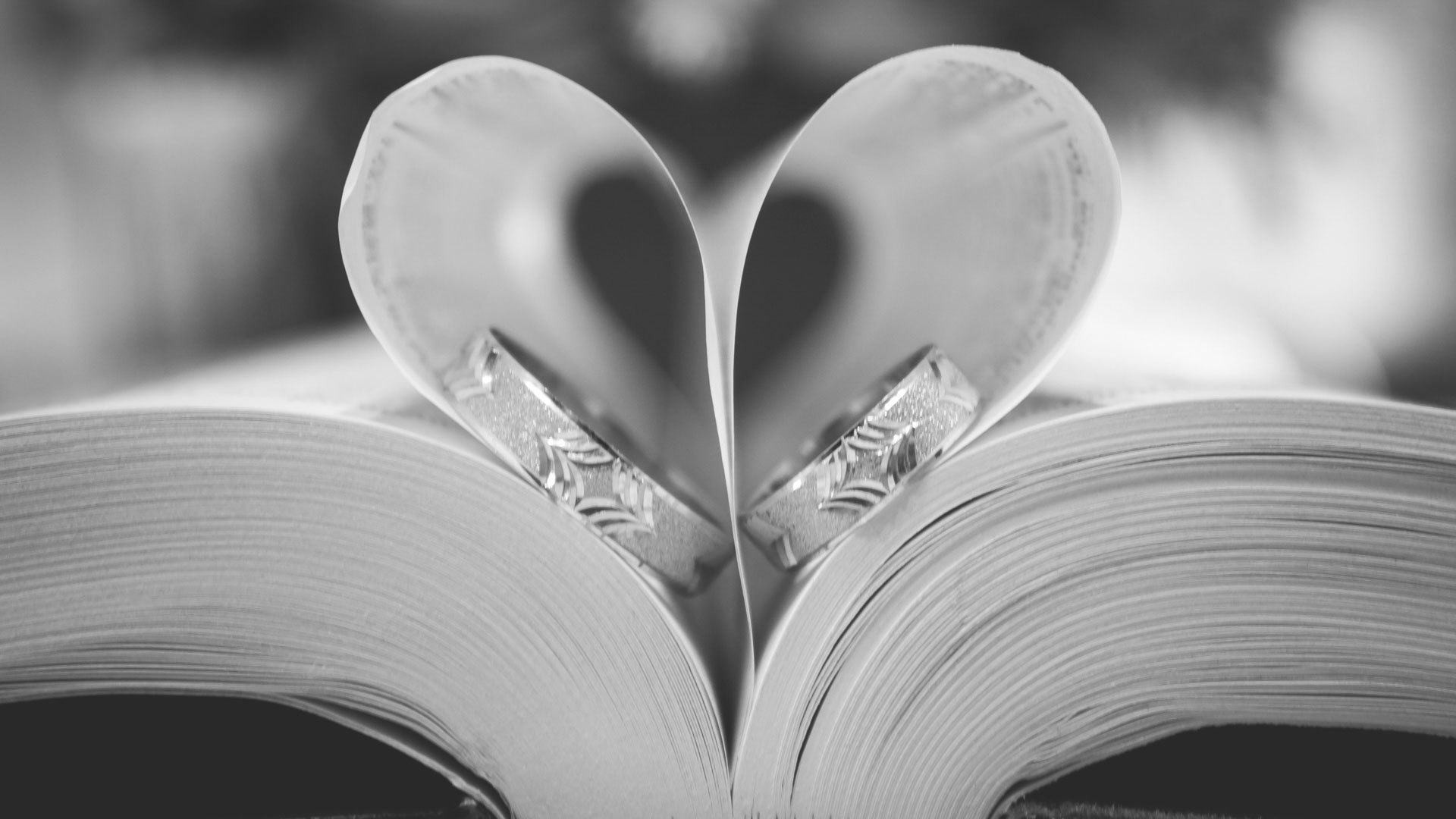 Flexi Fotografie Dr. Dominic Diechle, Berliner Straße in Weil im Schönbuch