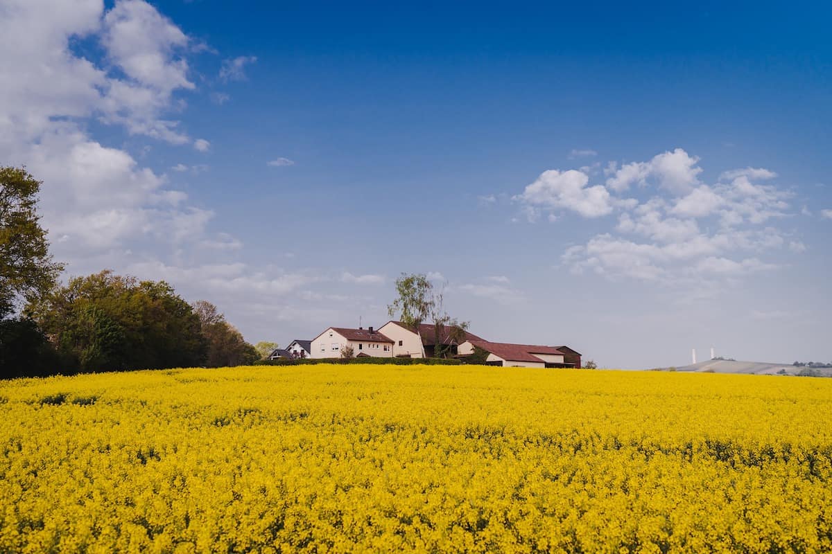 Erlenbacher Ölmühle, Hofäcker in Erlenbach
