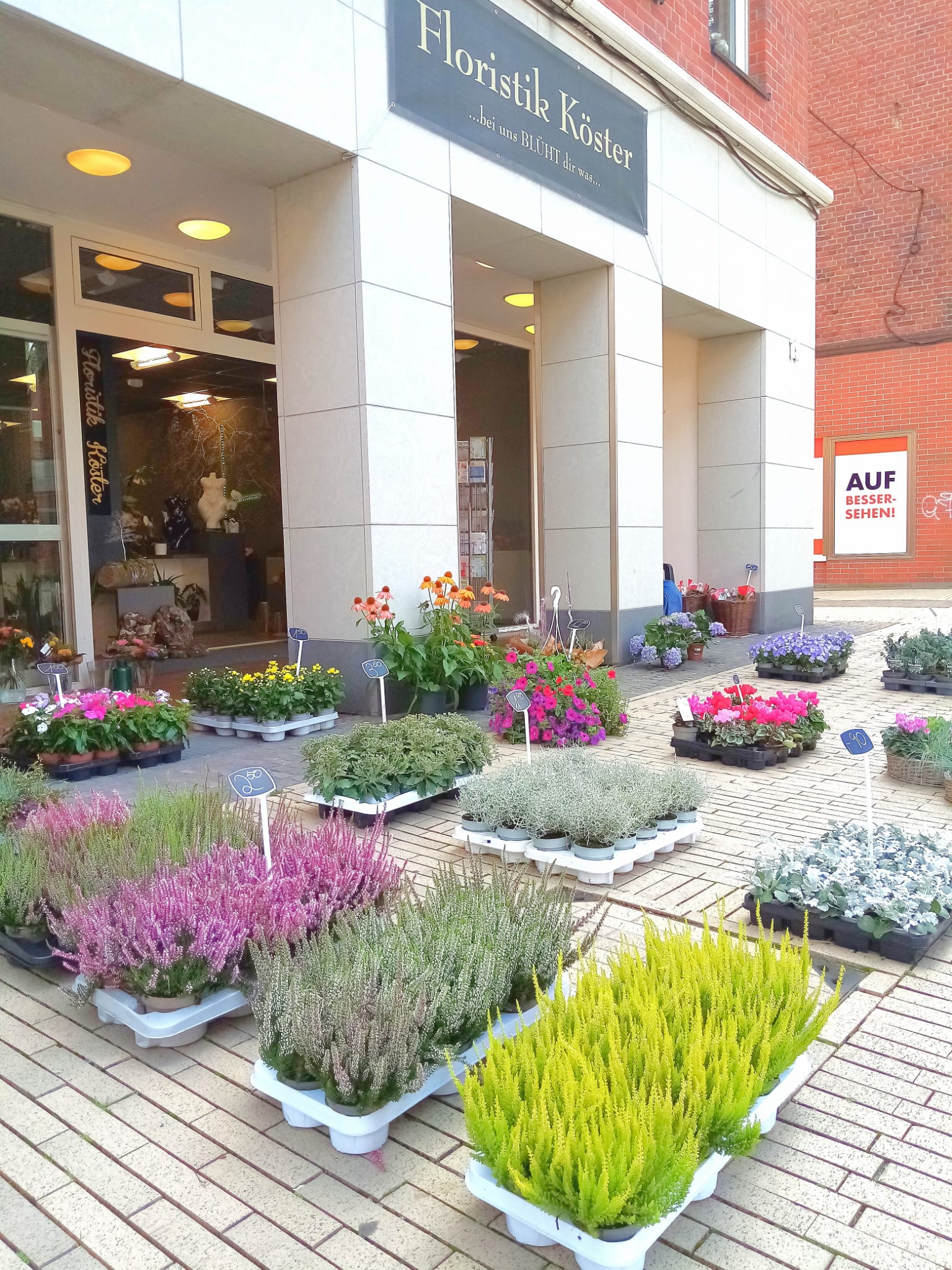 Floristik Köster, Lippestraße in Dorsten