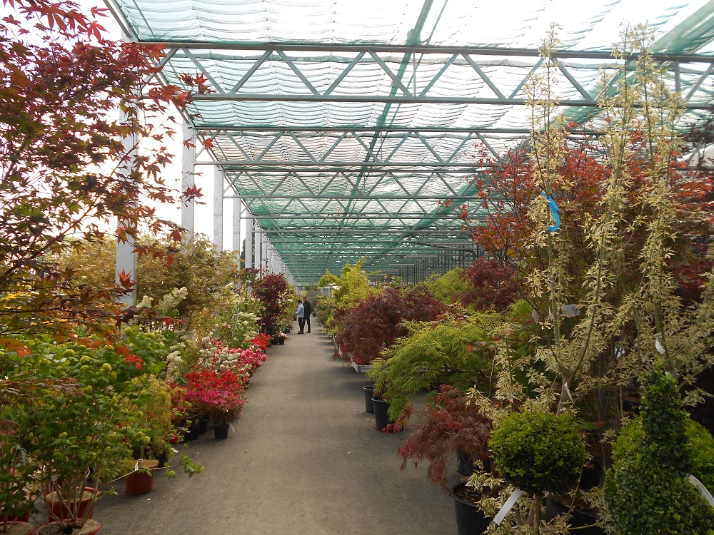 Aebi-Kaderli Garten-Center AG, Stockera in Düdingen