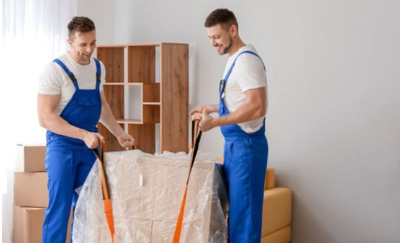 Erfurt Umzuge, Magdeburger Allee in Erfurt