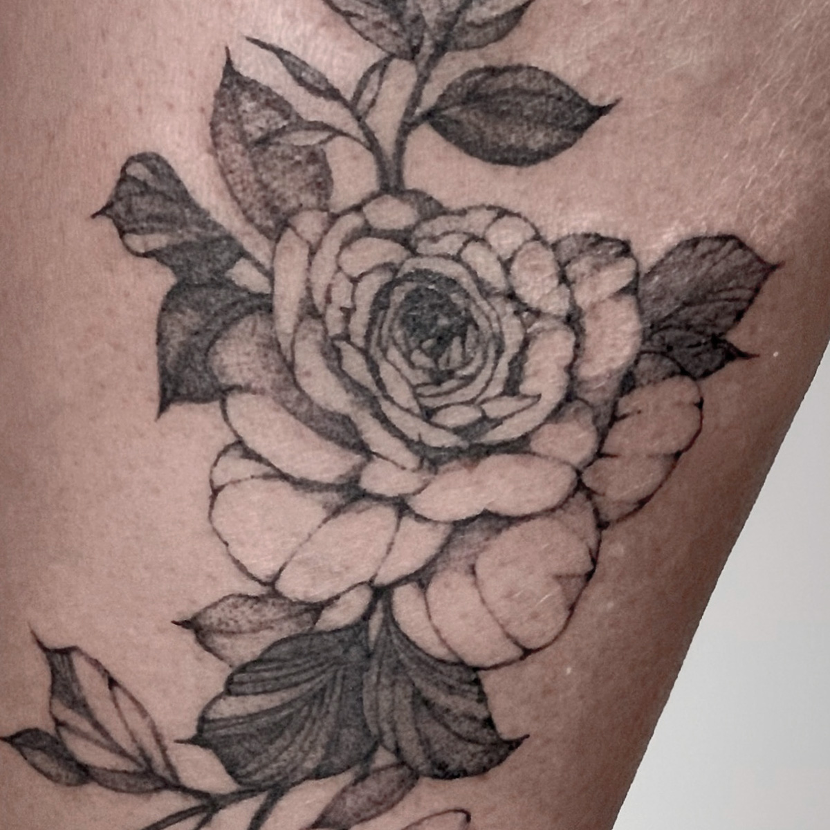 FineArt Tattoo, Zülpicher Str. in Köln