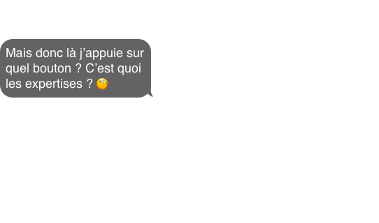 Mais donc là j’appuie sur quel bouton ? C’est quoi les expertises ? 🧐