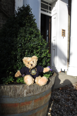 Pocklington School Teddy Bear