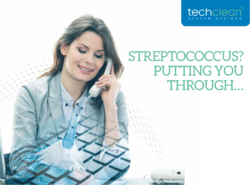 Streptococcus