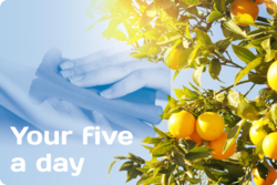 Your Five A Day