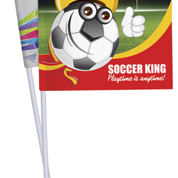 Promotional Flags