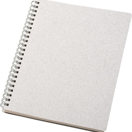 Green and Eco Friendly Desk Items